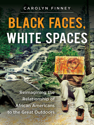 cover image of Black Faces, White Spaces